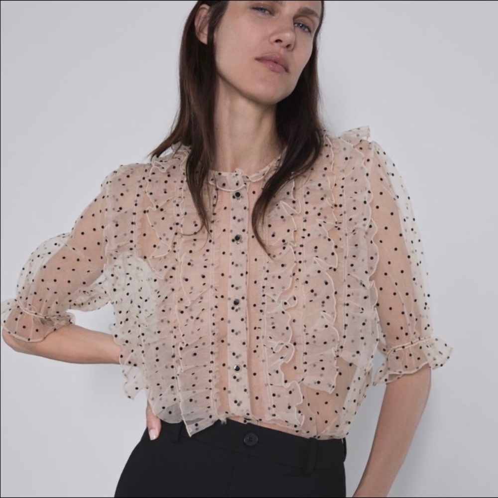 Zara Sheer Dot Organza Blouse